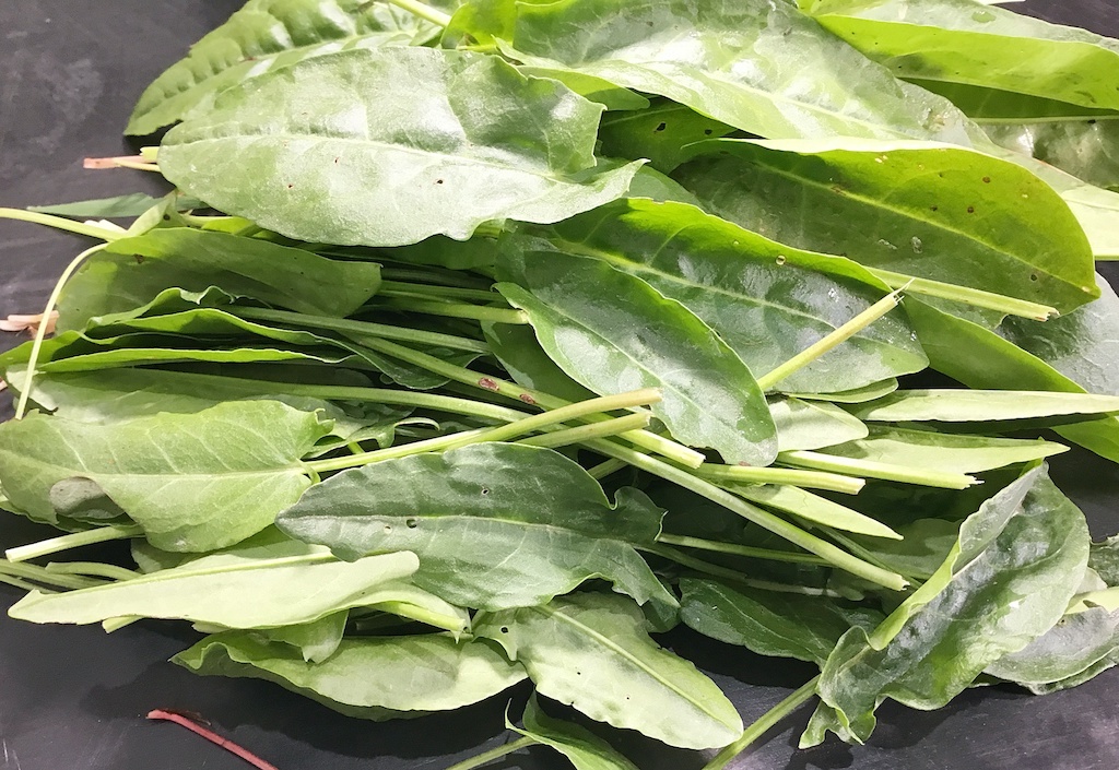 a handful of sorrel leaves on the table