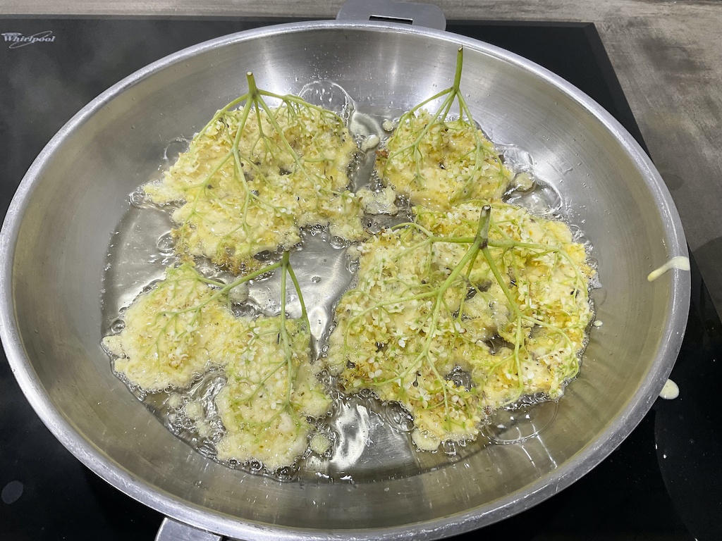 elderflower tempura - flowers in batter being fried in frying pan