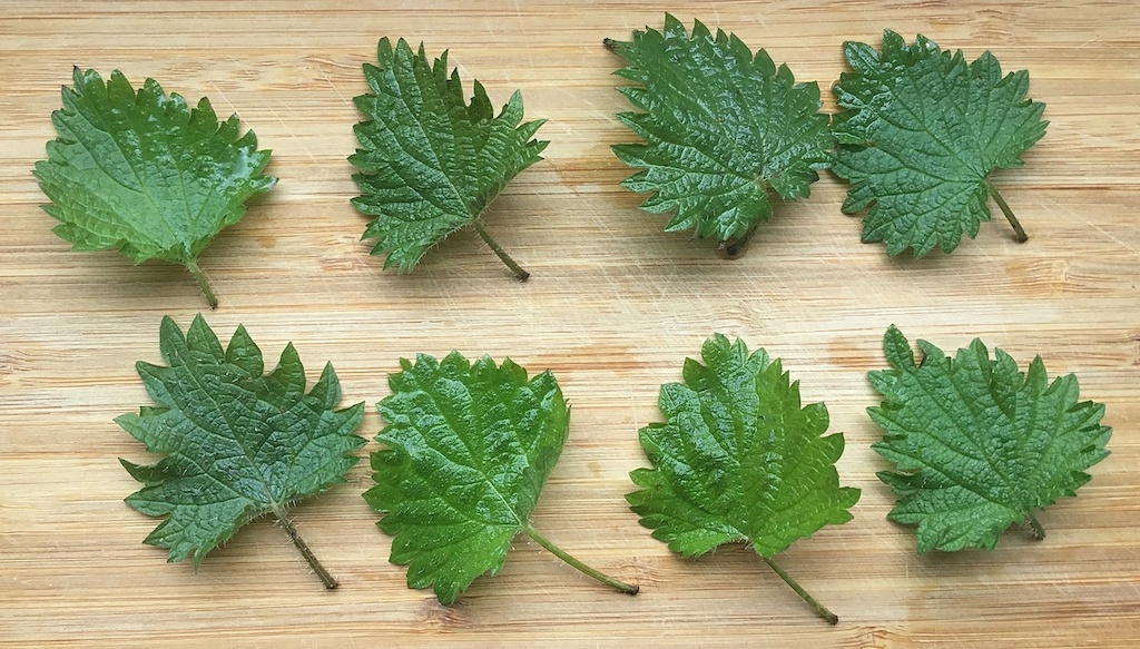 nettle leaves on the chopping board