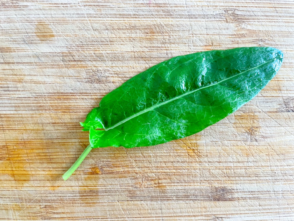 one sorrel leaf on a chopping board