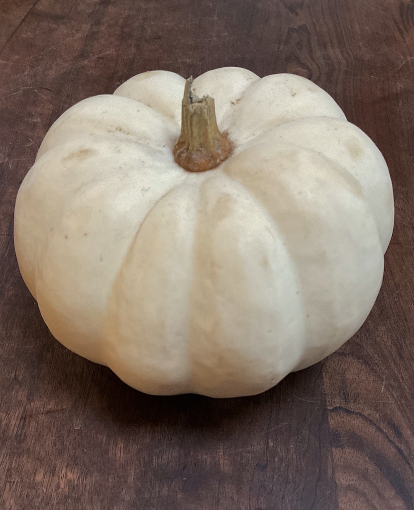 white pumpkin on the table