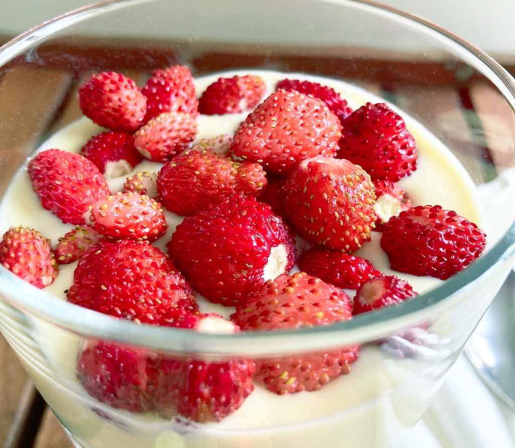 wild strawberries on yoghurt in a glass